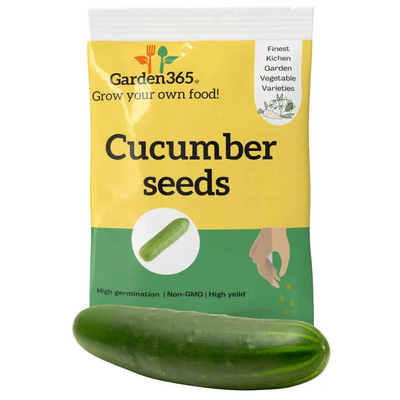 Cucumber Seeds (Kheera) | Organic Heirloom Naati Seeds | 30 Seeds | Kitchen Garden Seeds of खीरा / ಸೌತೆಕಾಯಿ / దోసకాయ / வெள்ளரி / വെണ്ട