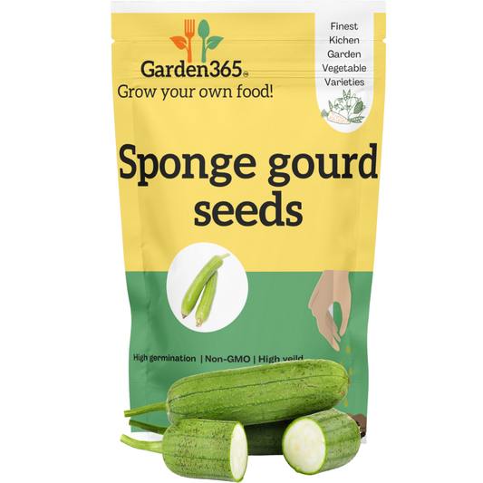 Organic heirloom Sponge gourd seeds