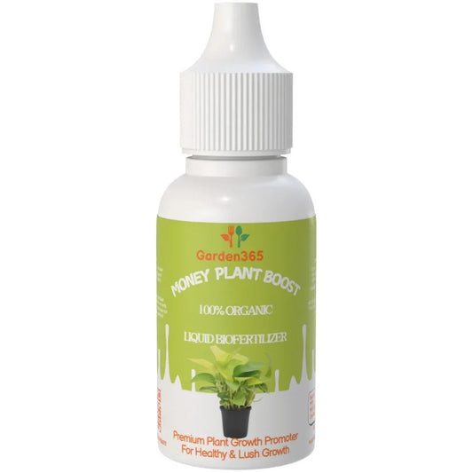 Money Plant Boost – Organic Bio Fertilizer for Money Plants (50 ml | Buy 1 Get 2 Free!) - Garden365