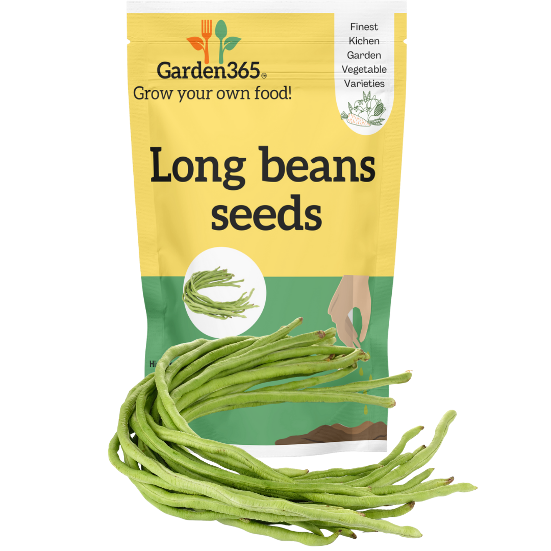 Organic heirloom Long beans seeds