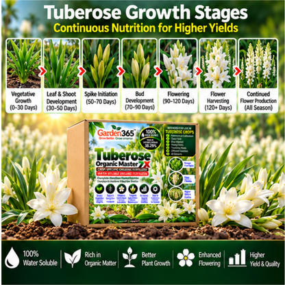 Tuberose Organic Master 7X Crop-Specific Organic Fertilizer Water Soluble Organic Fertilizer