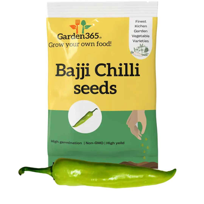 Bajji Chilli Seeds (Mild Green Chilli) | Organic Heirloom Naati Seeds | 30 Seeds | Kitchen Garden Seeds of பஜ்ஜி மிளகாய் / ಬಜ್ಜಿ ಮೆಣಸಿನಕಾಯಿ / బజ్జి మిరపకాయ / बज्जी मिर्च / ബജ്ജി മുളക്