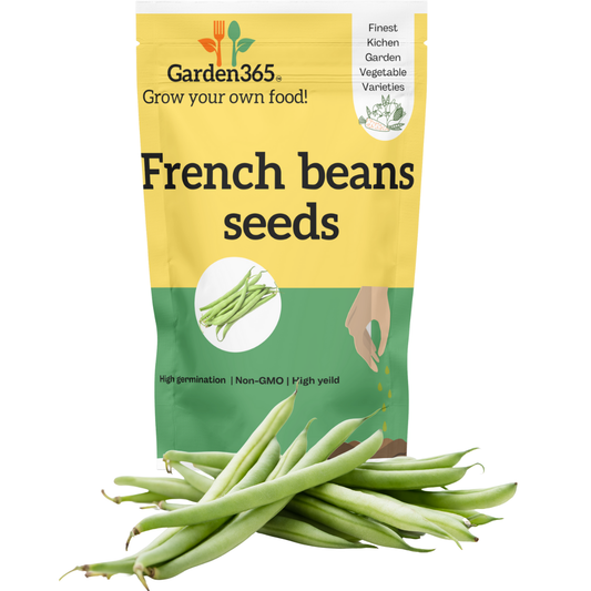 Organic heirloom French beans seeds