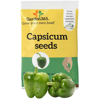 Capsicum Seeds (Bell Pepper) | Organic Heirloom Naati Seeds | 30 Seeds | Kitchen Garden Seeds of शिमला मिर्च / ಕ್ಯಾಪ್ಸಿಕಮ್ / క్యాప్సికం / குடைமிளகாய் / ക്യാപ്സിക്കം