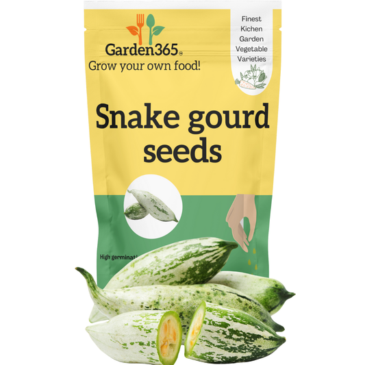 Organic heirloom Snake gourd seeds