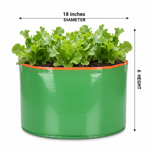 Garden365 HDPE Grow Bag 18x6 | 260 GSM Wide & Shallow Grow Bag for Leafy Greens