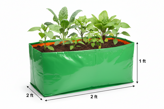 Garden365 HDPE Green Vegetable Grow Bag 2×2×1 ft | 260 GSM Durable & Reusable