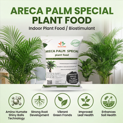 Areca Palm Special Plant Food – Growth Booster for Lush Green Fronds & Healthy Indoor Palms (Apply Up to 100 Plants / Times)