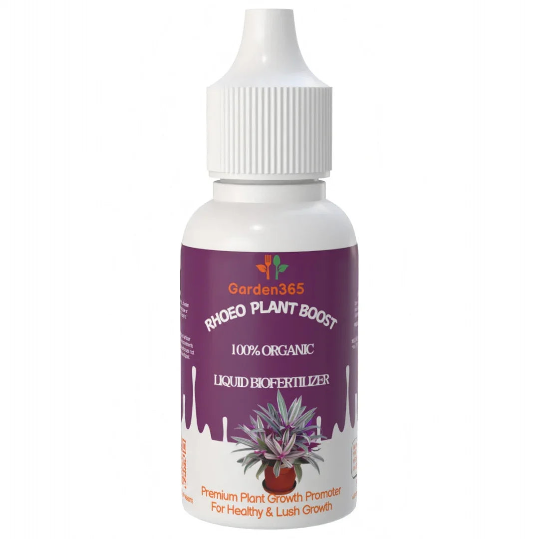 Rhoeo Plant Boost – Organic Bio Fertilizer for Rhoeo (50 ml | Buy 1 Get 2 Free!) - Garden365