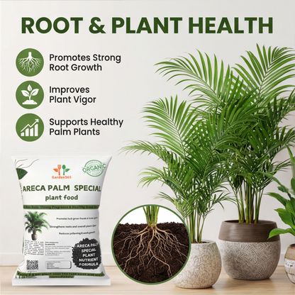 Areca Palm Special Plant Food – Growth Booster for Lush Green Fronds & Healthy Indoor Palms (Apply Up to 100 Plants / Times)