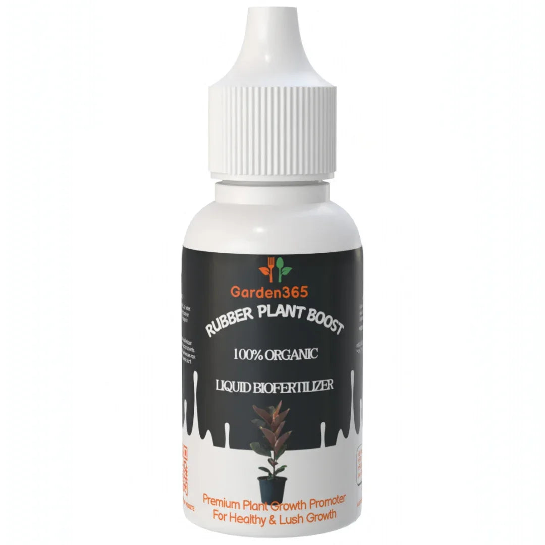 Rubber Plant Boost – Organic Bio Fertilizer for Rubber Plants (50 ml | Buy 1 Get 2 Free!) - Garden365