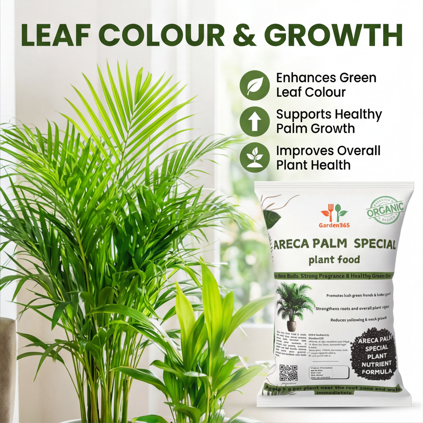Areca Palm Special Plant Food – Growth Booster for Lush Green Fronds & Healthy Indoor Palms (Apply Up to 100 Plants / Times)