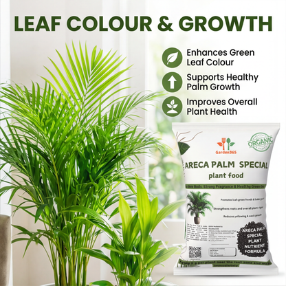 Areca Palm Special Plant Food – Growth Booster for Lush Green Fronds & Healthy Indoor Palms (Apply Up to 100 Plants / Times)