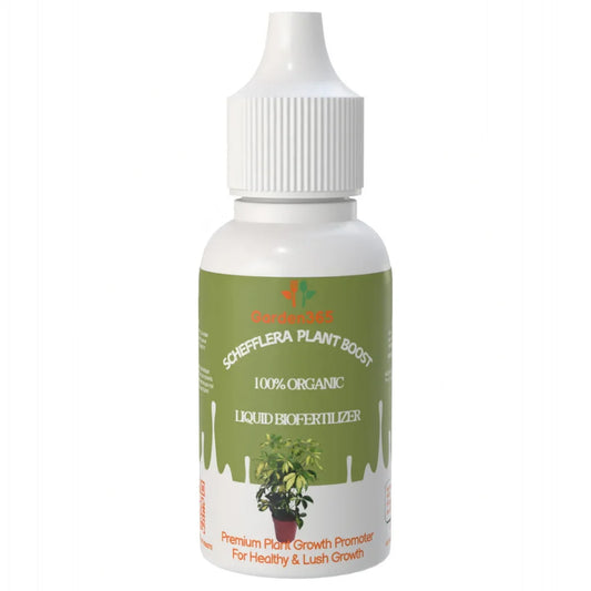 Schefflera Plant Boost – Organic Bio Fertilizer for Schefflera (50 ml | Buy 1 Get 2 Free!) - Garden365