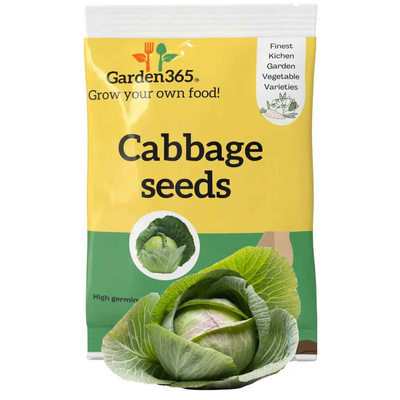 Cabbage Seeds | Organic Heirloom Naati Seeds | 30 Seeds | Kitchen Garden Seeds of पत्ता गोभी / ಎಲೆಕೋಸು / క్యాబేజీ / முட்டைகோஸ் / കാബേജ്