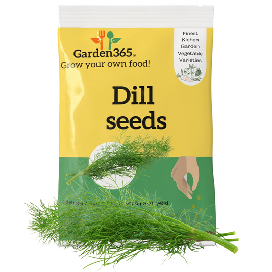 Organic Heirloom Dill Seeds (Shepu / Suva Bhaji) - Garden365
