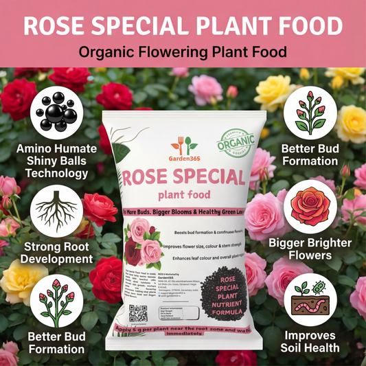 Rose Special Plant Food – Organic Flower Booster for More Buds, Bigger Blooms & Healthy Rose Plants (Apply Up to 100 Plants / Times)