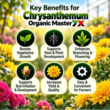 Chrysanthemum Organic Master 7X Crop-Specific Organic Fertilizer Water Soluble Organic Fertilizer