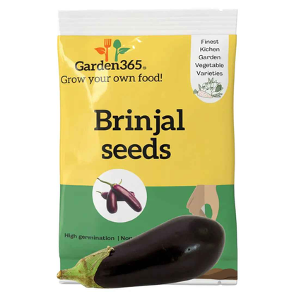 Brinjal Seeds (Eggplant / Aubergine) | Organic Heirloom Naati Seeds | 30 Seeds | Kitchen Garden Seeds of बैंगन / ಬದನೇಕಾಯಿ / వంకాయ / கத்தரிக்காய் / വഴുതന