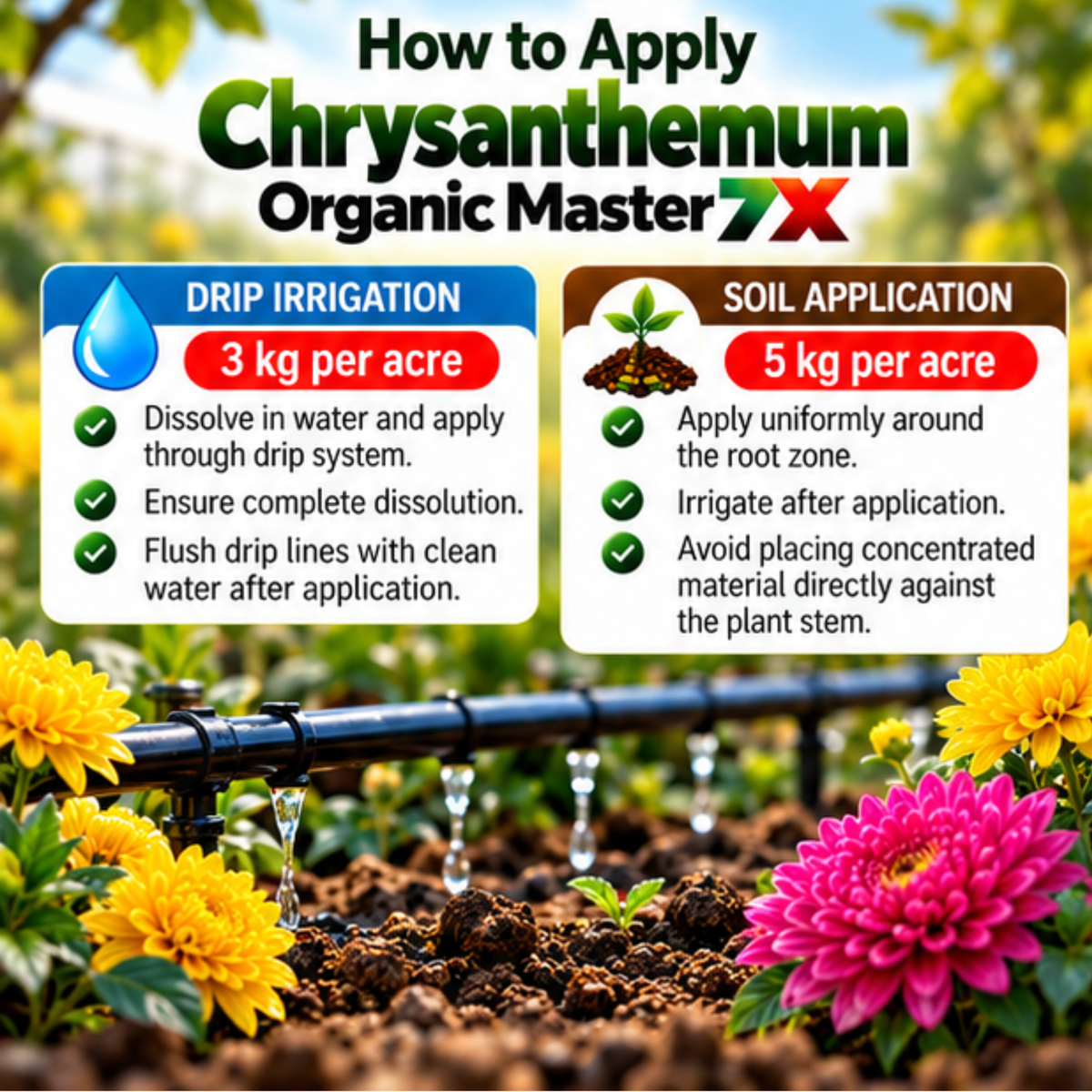 Chrysanthemum Organic Master 7X Crop-Specific Organic Fertilizer Water Soluble Organic Fertilizer