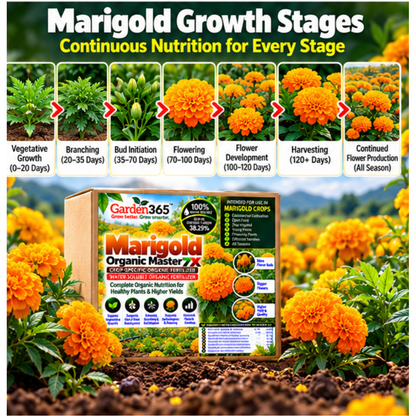 Marigold Organic Master 7X Crop-Specific Organic Fertilizer Water Soluble Organic Fertilizer