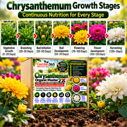 Chrysanthemum Organic Master 7X Crop-Specific Organic Fertilizer Water Soluble Organic Fertilizer