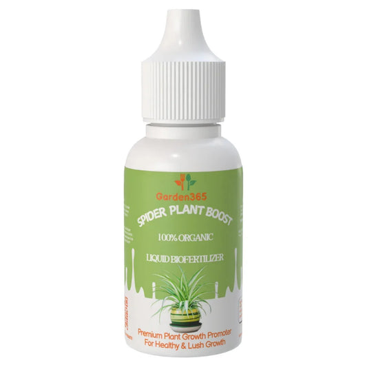 Spider Plant Boost – Organic Bio Fertilizer for Spider Plants (50 ml | Buy 1 Get 2 Free!) - Garden365