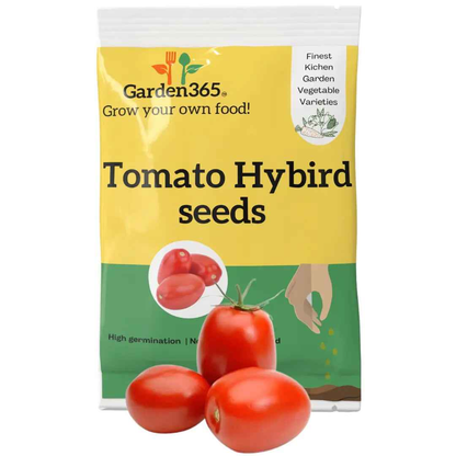 Hybrid Tomato Seeds | High Yield Variety | 30 seeds | Kitchen Garden Seeds of टमाटर / ಟೊಮೇಟೊ / టమోటా / தக்காளி / തക്കാളി