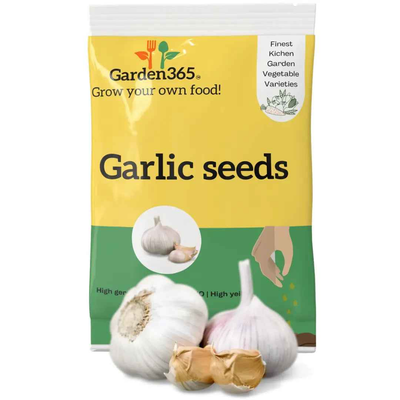 Garlic Seeds / Cloves | Organic Heirloom Naati Seeds | 25 Cloves | Kitchen Garden Seeds of लहसुन / ಬೆಳ್ಳುಳ್ಳಿ / వెల్లుల్లి / பூண்டு / വെളുത്തുള്ളി
