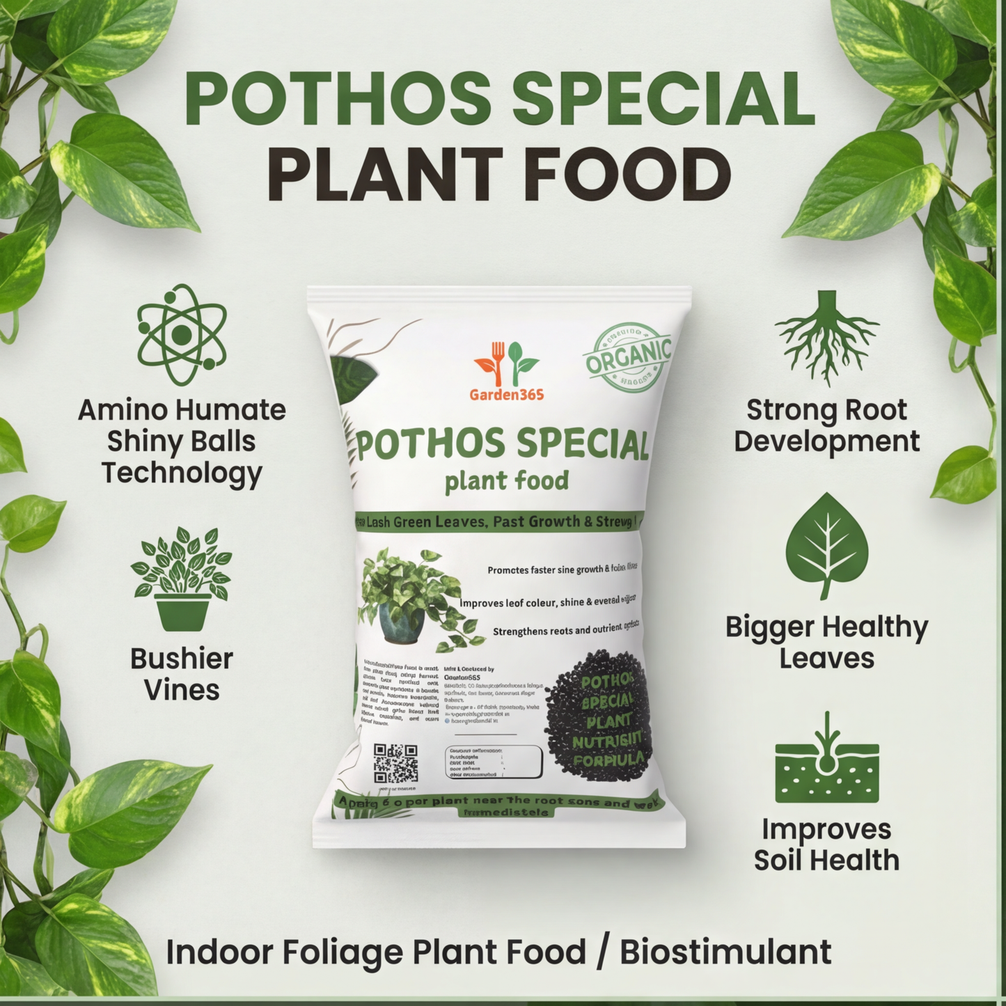 Pothos Special Plant Food – Growth Booster for Bushy Vines, Bigger Leaves & Healthy Indoor Plants (Apply Up to 100 Plants / Times)