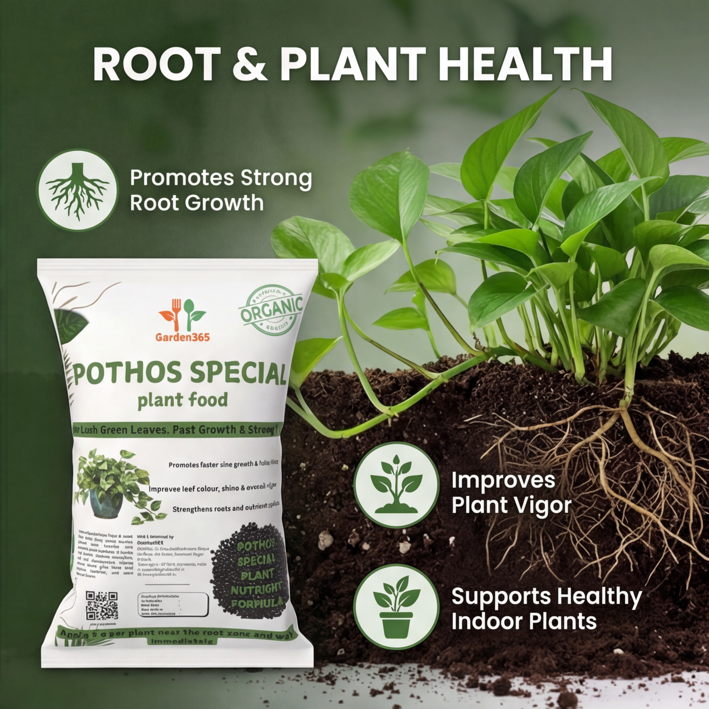 Pothos Special Plant Food – Growth Booster for Bushy Vines, Bigger Leaves & Healthy Indoor Plants (Apply Up to 100 Plants / Times)