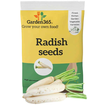 White Radish Seeds | Organic Heirloom Naati Seeds | 50 Seeds | Kitchen Garden Seeds of सफेद मूली / ಬೆಳ್ಳಿಹೊಳೆಯ ಮೂಲಂಗಿ / తెల్ల ముల్లంగి / வெள்ளை முள்ளங்கி / വെളുത്ത മുള്ളങ്കി