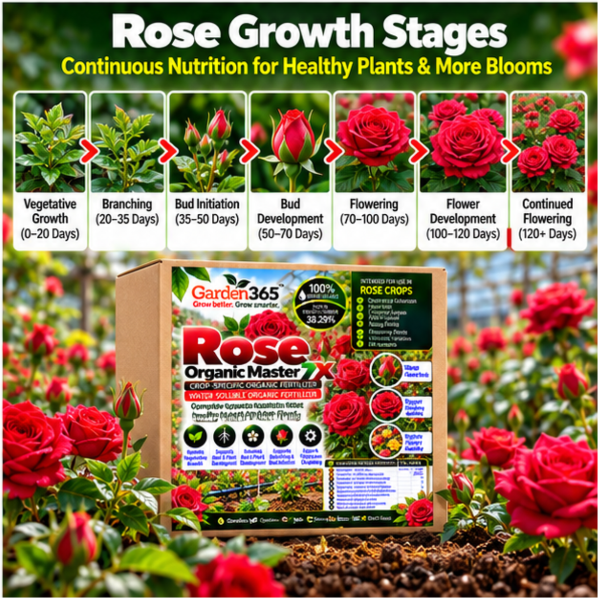 Rose Organic Master 7X Crop-Specific Organic Fertilizer Water Soluble Organic Fertilizer