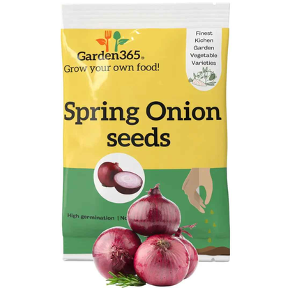 Red Onion Seeds | Organic Heirloom Naati Seeds | 50 Seeds | Kitchen Garden Seeds of प्याज / ಈರುಳ್ಳಿ / ఉల్లిపాయ / வெங்காயம் / സവാള