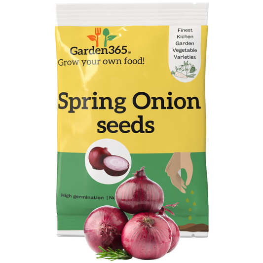 Organic Heirloom Spring Onion Seeds (Green Onion / Scallion) - Garden365