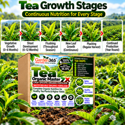 Tea Organic Master 7X Crop-Specific Organic Fertilizer Water Soluble Organic Fertilizer