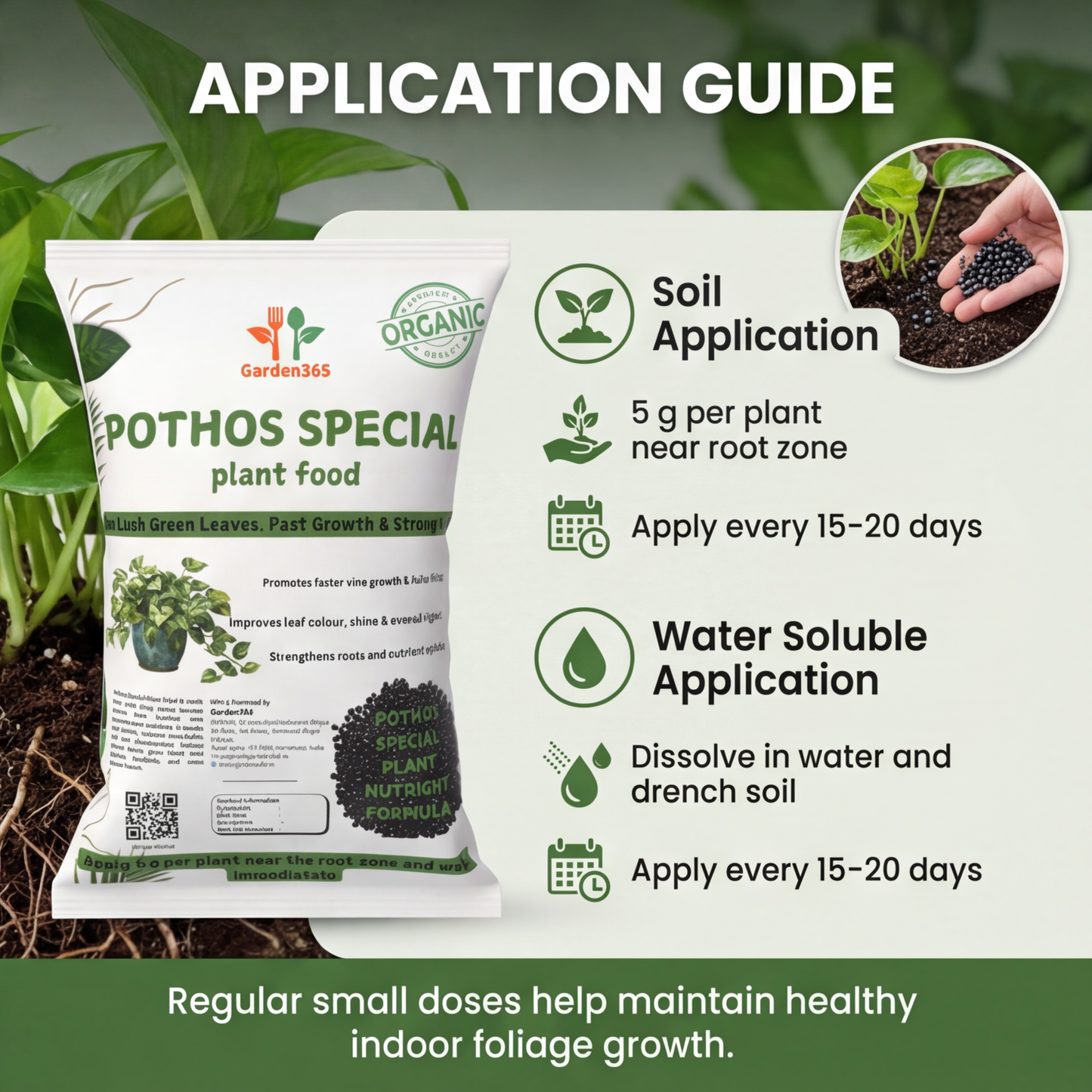 Pothos Special Plant Food – Growth Booster for Bushy Vines, Bigger Leaves & Healthy Indoor Plants (Apply Up to 100 Plants / Times)