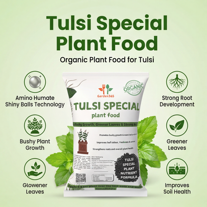 Tulsi Special Plant Food – Organic Growth Booster for Healthy, Bushy & Aromatic Plants (Apply Up to 100 Plants / Times)