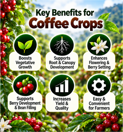 Coffee Organic Master 7X Crop-Specific Organic Fertilizer Water Soluble Organic Fertilizer