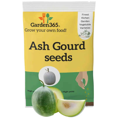 Ash Gourd Seeds (Winter Melon / Petha) | Organic Heirloom Naati Seeds | 20 Seeds | Kitchen Garden Seeds of पेठा / ಬೂದು ಕುಂಬಳಕಾಯಿ / బూడిద గుమ్మడికాయ / பூசணி / കുന്നിത്തളി