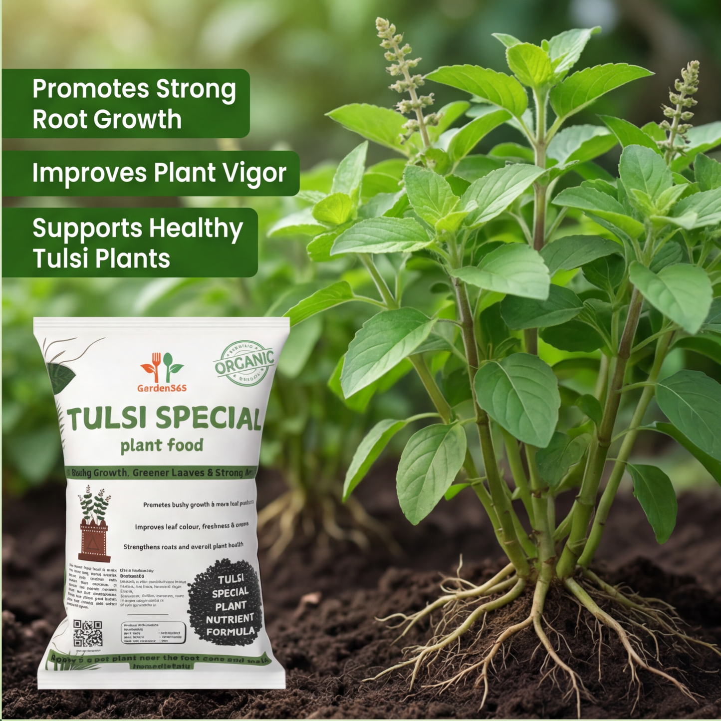 Tulsi Special Plant Food – Organic Growth Booster for Healthy, Bushy & Aromatic Plants (Apply Up to 100 Plants / Times)