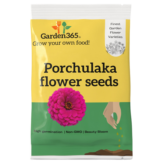 Portulaca (Moss Rose) Flower Seeds - Garden365