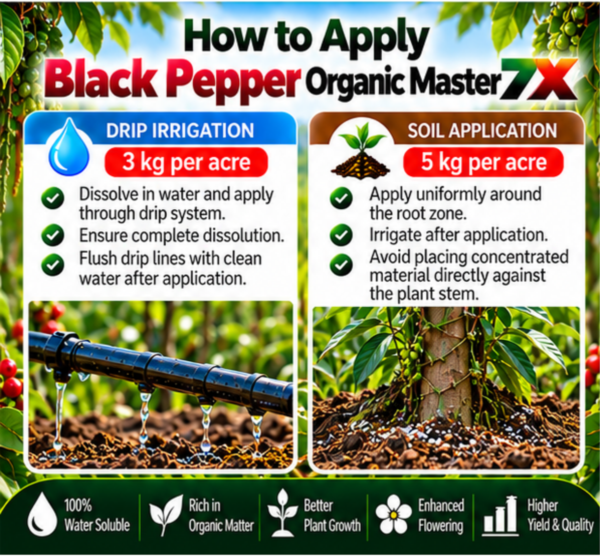 Black Pepper Organic Master 7X Crop-Specific Organic Fertilizer Water Soluble Organic Fertilizer