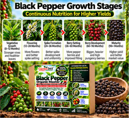 Black Pepper Organic Master 7X Crop-Specific Organic Fertilizer Water Soluble Organic Fertilizer