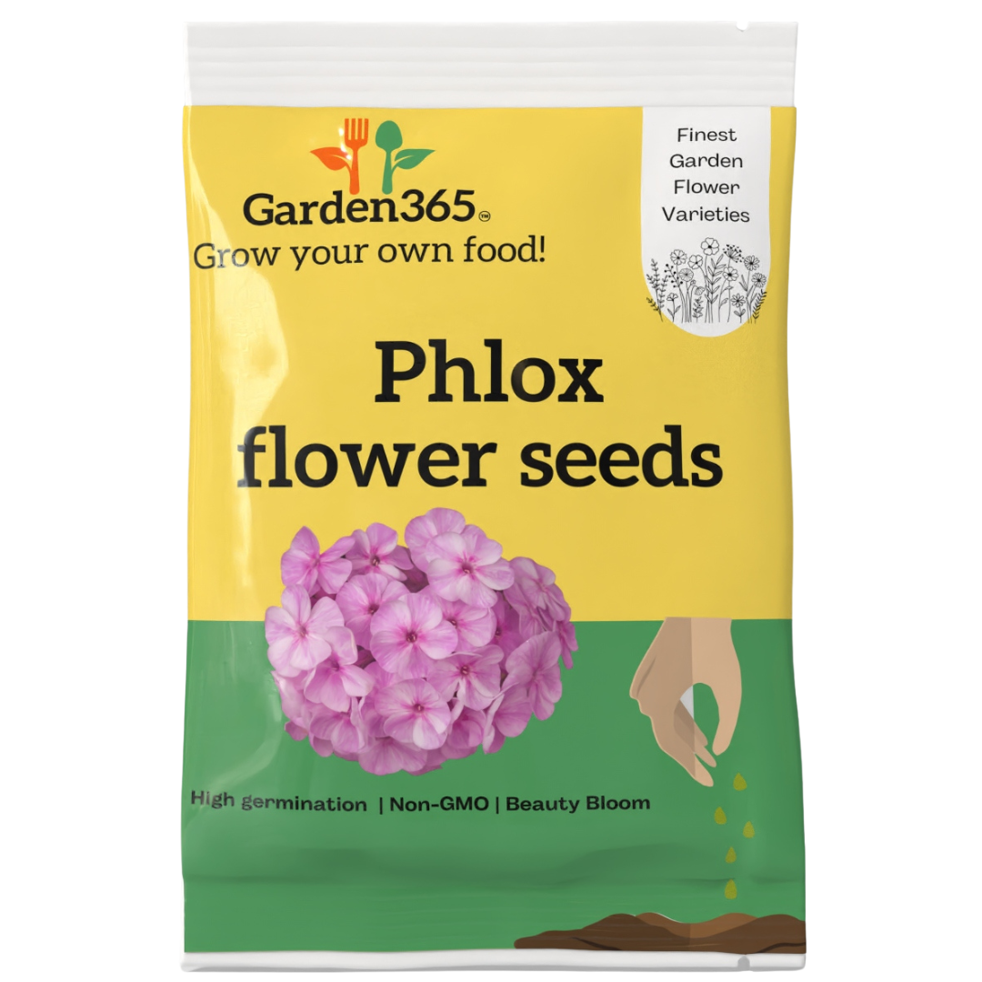 Phlox Flower Seeds - Garden365