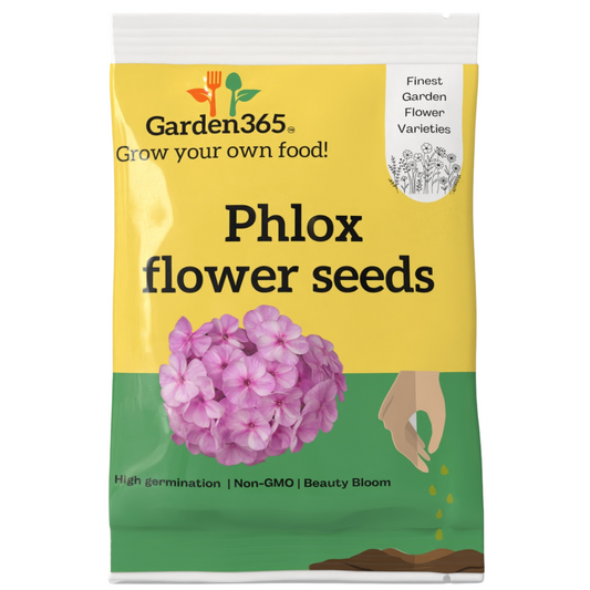 Phlox Flower Seeds - Garden365