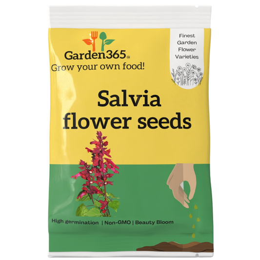 Salvia Flower Seeds - Garden365