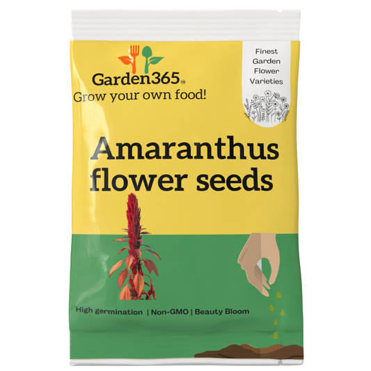 Amaranthus Flowering Seeds - Garden365