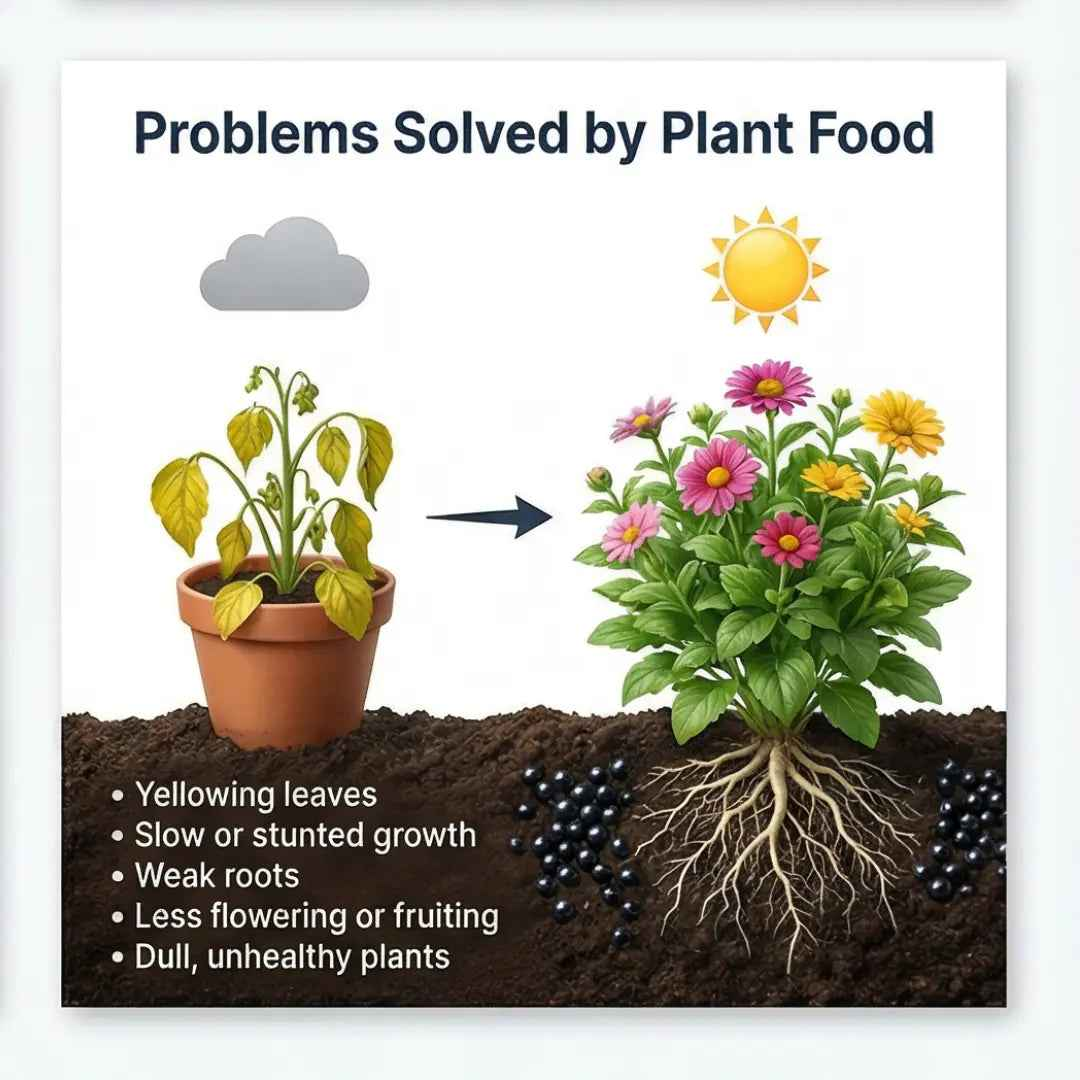 All Purpose Plant Food – Suitable for all Plants  | 100% Organic | Apply Up to 100 Plants