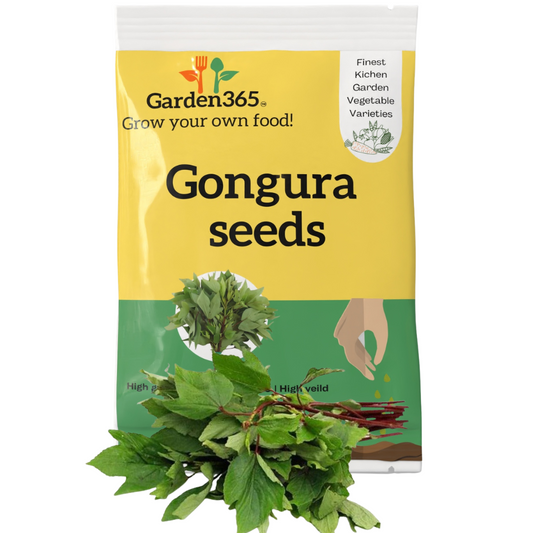 Organic Heirloom Gongura Seeds (Roselle / Sorrel / Ambadi) - Garden365